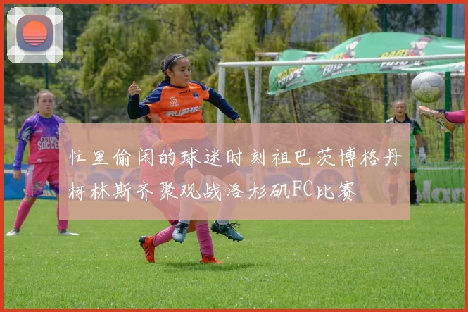 忙里偷闲的球迷时刻祖巴茨博格丹柯林斯齐聚观战洛杉矶FC比赛