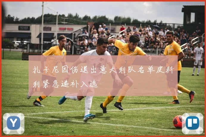 扎卡尼因伤退出意大利队名单皮科利紧急递补入选